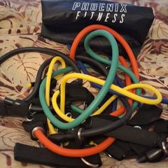 Complete Home Gym Bundle - 20kg Decathlon Dumbbell Kit + Premium PTP & Phoenix Resistance Bands