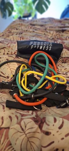 Complete Home Gym Bundle - 20kg Decathlon Dumbbell Kit + Premium PTP & Phoenix Resistance Bands