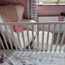 Cot with drawer Image 5