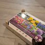 Buzzy Bulbs Big Box 5 Months of Flowers 120 Bulbs Image 2
