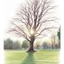 St. Anne's Park Art Prints A4 Photo-Illustrated Collection Image 6