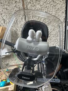 Thule child bike seat with windowscreen and handlebar