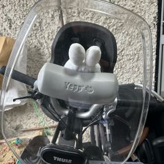 Thule child bike seat with windowscreen and handlebar
