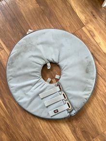 Dog protective collar