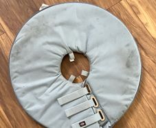 Dog protective collar