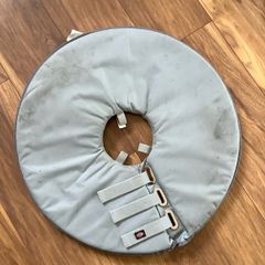 Dog protective collar