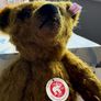 Collectable Teddy Image 3
