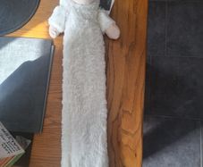 Sheep hot water bottle