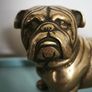 Large brass bulldog Image 2