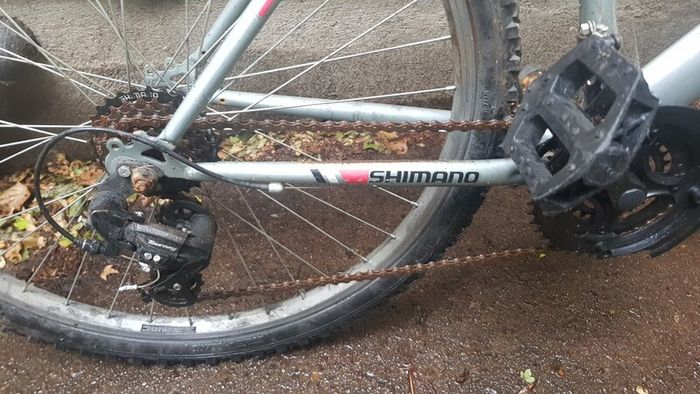 Mountain bike