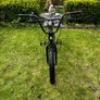 Trabal spear kids BMX Image 2