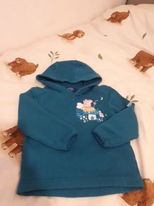 Regatta hoddie