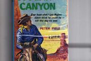 Cougar Canyon (western Novel)