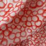 dress Jensen brand size 12 coral & white dress size 12 Image 3