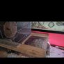 hamster cage and accessories Image 3
