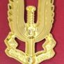 Metal SAS badge . Image 2
