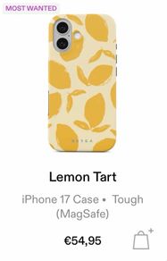 Burga IPhone 17 case