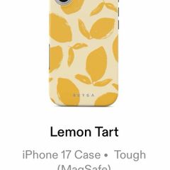 Burga IPhone 17 case
