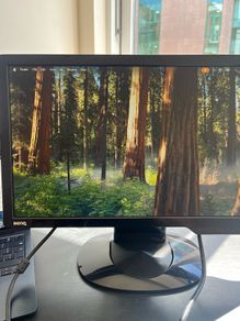 BenQ G922HDL 18.5 Inch Monitor