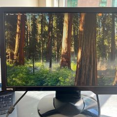 BenQ G922HDL 18.5 Inch Monitor