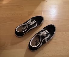 Vans shoes