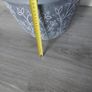 Potted indoor plant Image 9