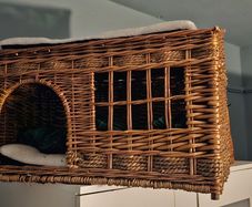 pet basket bed