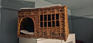 pet basket bed