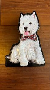 Metal tin box