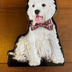 Metal tin box