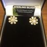 Sterling Silver Earring Image 2