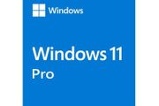 Windows 11 Pro Licence Keys