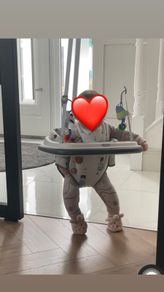 Baby swing