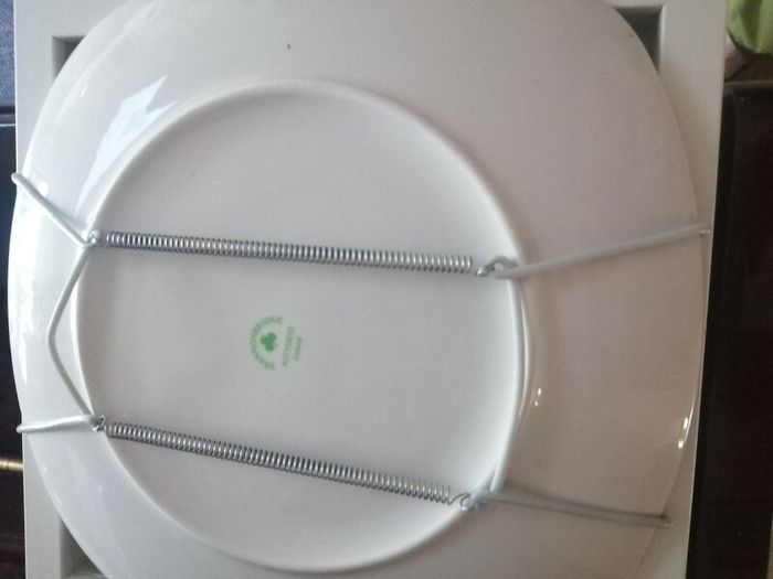 Wall plate Toile de jouy with plate hanger