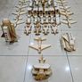 Wooden Toys Image 2