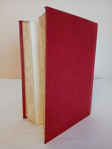 Sally Cavanagh or, The Untenanted Graves: A Tale of Tipperary by Charles J. Kickham (CP122)
