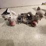 Rare find  VINTAGE PORCELAIN MARKED foreign 2 Cat Figurine.Cats Playing With Ball Figurine Image 7