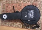 banjo case
