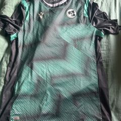 cricket jersey