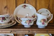 21 piece china