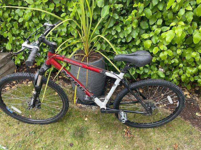 Mens bike