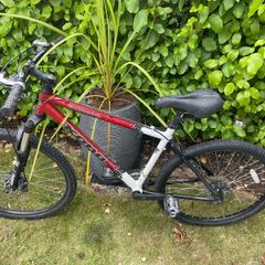 Mens bike