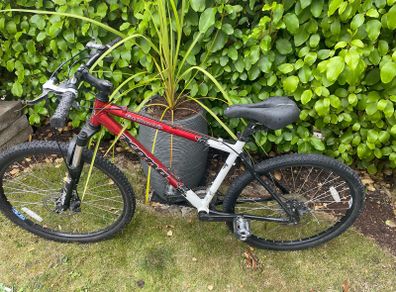 Mens bike
