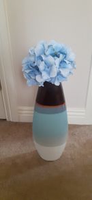 vases