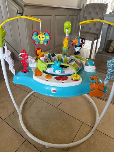 Fisher-Price Baby Bouncer