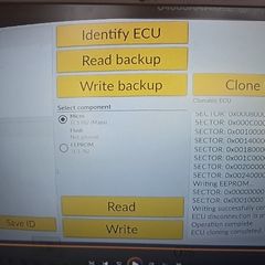 Cloning and remaping service
