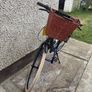 Ladies Bicycle Image 2