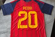 Spain Home Jersey WC 26 (2 star edition) Pedri#20