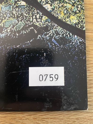 The Future Sound Of London - My Kingdom (Re-Imagined) - 12" Vinyl RSD 2018 Limited Edition - #0759 of 2000 - EBV Records