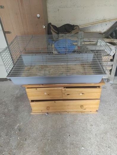 Animal cage
